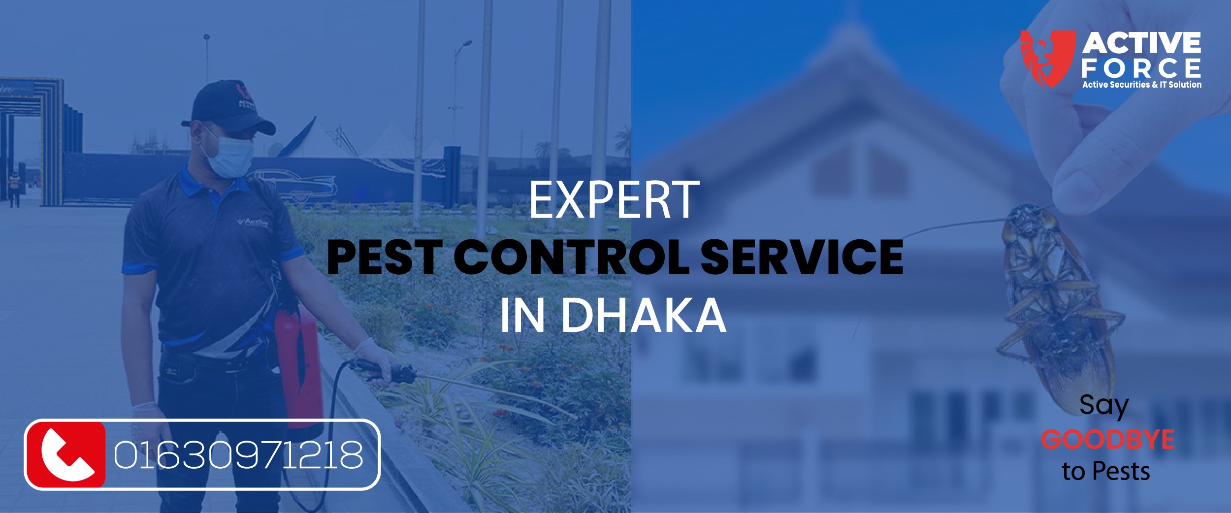 Say Goodbye to Pests with Expert Pest Control in Dhaka
